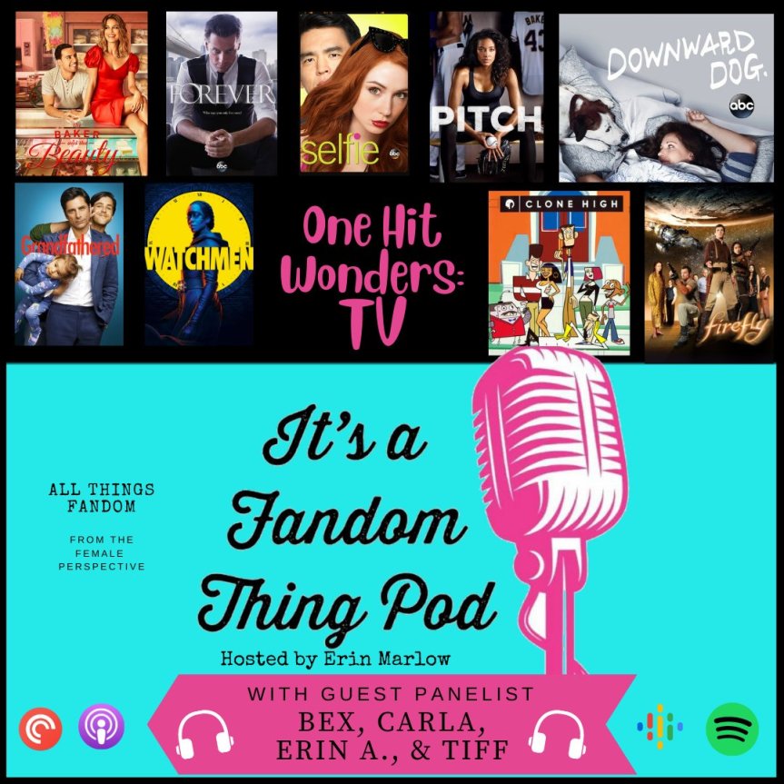 One-Hit Wonders: Television&nbsp;Shows