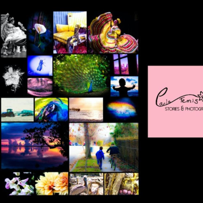 Carla Temis Interview